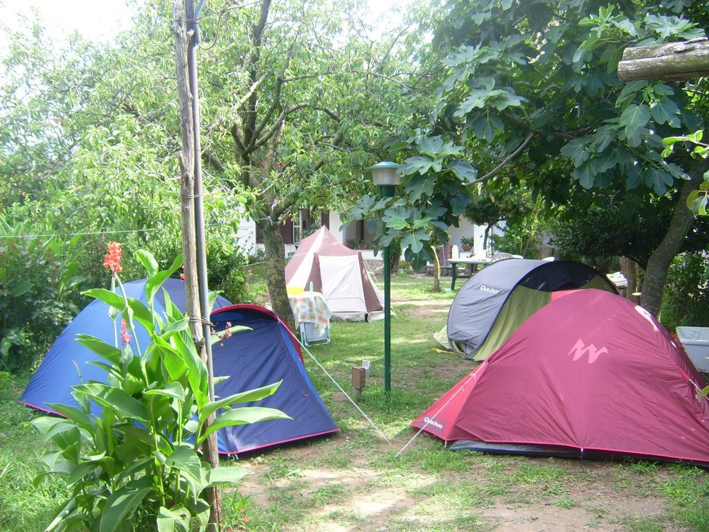 Agriturismo Mare E Monti Landhaus *
