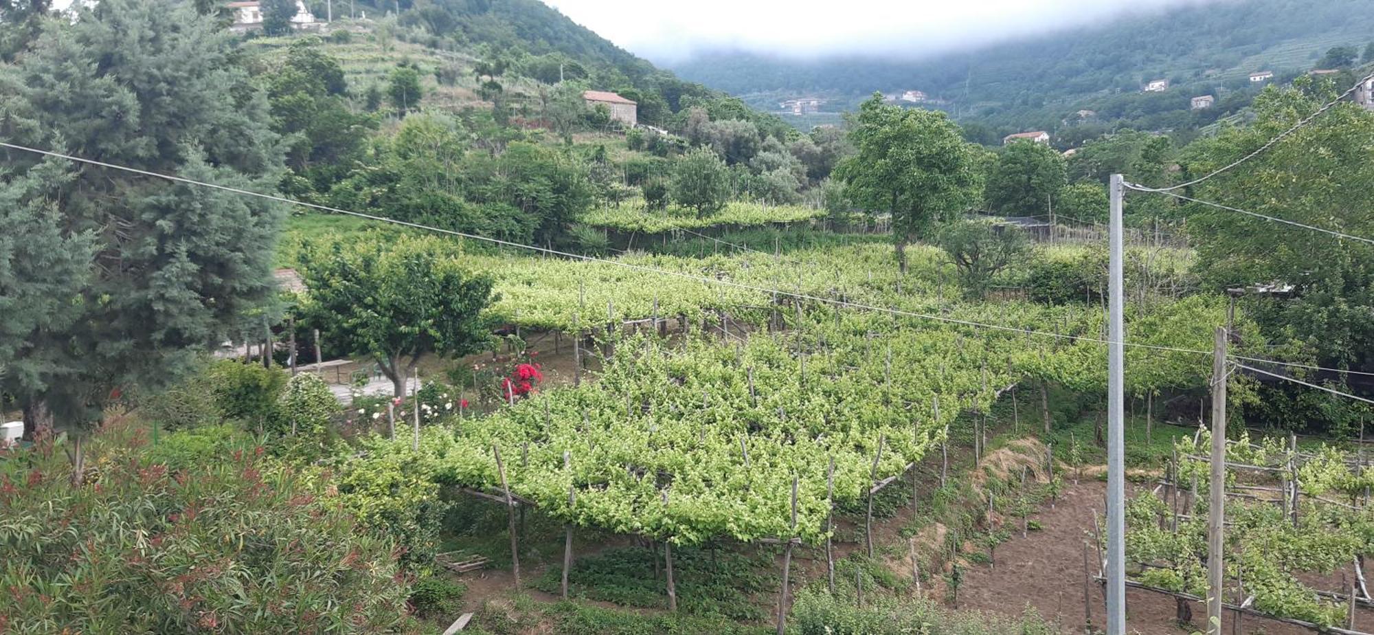 Landhaus Agriturismo Mare E Monti *