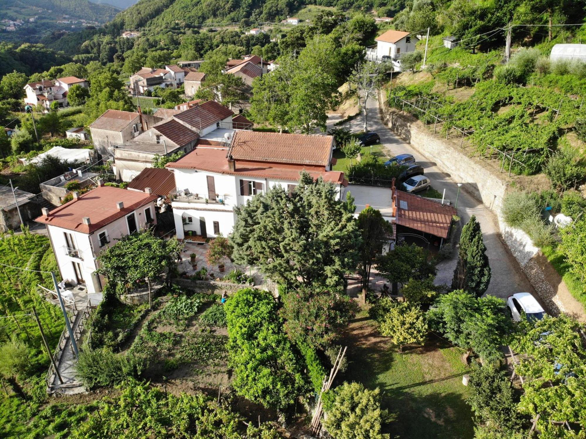 Agriturismo Mare E Monti Landhaus Tramonti