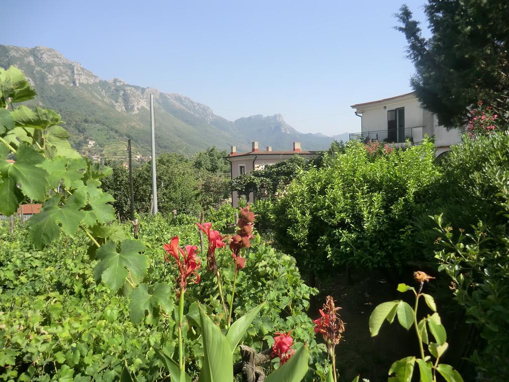 Agriturismo Mare E Monti * Tramonti