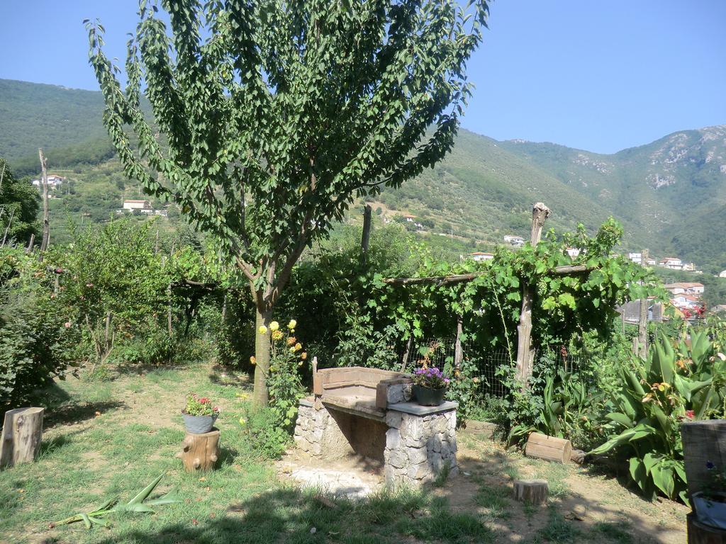 Landhaus Agriturismo Mare E Monti