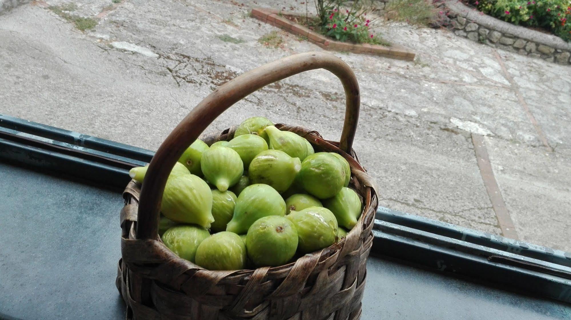 Landhaus Agriturismo Mare E Monti *